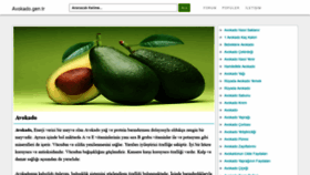 What Avokado.gen.tr website looked like in 2020 (4 years ago)