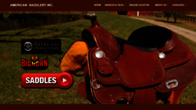 What Americansaddlery.com website looked like in 2020 (4 years ago)