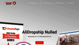 What Alidropshipnulled.com website looked like in 2020 (4 years ago)