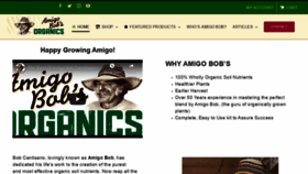 What Amigobobs.com website looked like in 2020 (4 years ago)