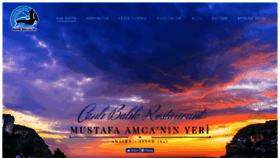 What Amasracanlibalik.com website looked like in 2020 (4 years ago)