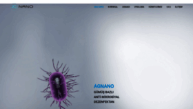 What Agnano.net website looked like in 2020 (4 years ago)