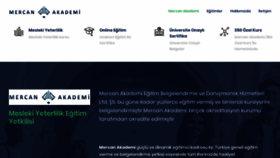 What Antakademi.com website looked like in 2020 (4 years ago)