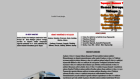 What Ankaraevdenevetasima.com website looked like in 2020 (4 years ago)