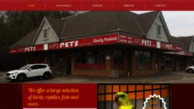 What Angpets.com website looked like in 2020 (4 years ago)