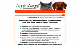 What Aminavast.com website looked like in 2020 (4 years ago)