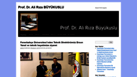 What Alirizabuyukuslu.com website looked like in 2020 (4 years ago)