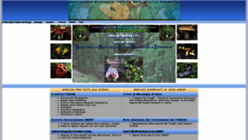 What Amint.it website looked like in 2020 (5 years ago)