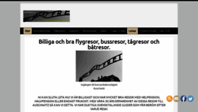 What Auschwitz.se website looked like in 2020 (3 years ago)
