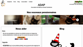 What Adap64.com website looked like in 2020 (4 years ago)