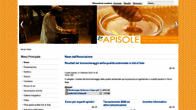 What Apisole.it website looked like in 2020 (4 years ago)