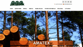 What Amatex.es website looked like in 2020 (3 years ago)