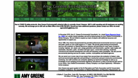 What Amygreen.com website looked like in 2020 (3 years ago)