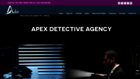 What Apexdetectiveagency.com website looked like in 2020 (3 years ago)