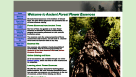 What Ancientforestessences.com website looked like in 2020 (3 years ago)