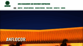 What Anflocor.com website looked like in 2020 (3 years ago)