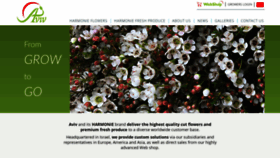 What Aviv-flower.co.il website looked like in 2020 (3 years ago)