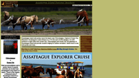 What Assateagueisland.com website looked like in 2020 (3 years ago)