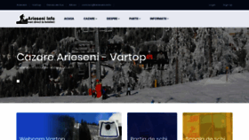 What Arieseni.info website looked like in 2020 (3 years ago)