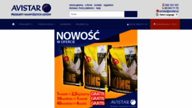 What Avistar.pl website looked like in 2020 (3 years ago)