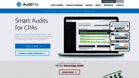 What Auditfile.com website looked like in 2020 (3 years ago)