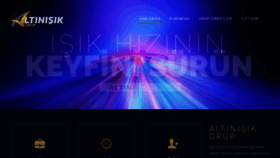 What Altinisikgrup.com website looked like in 2020 (3 years ago)