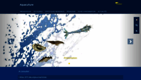 What Aquaculture.ifremer.fr website looked like in 2020 (3 years ago)