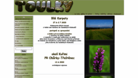What Alena.ilcik.cz website looked like in 2020 (6 years ago)