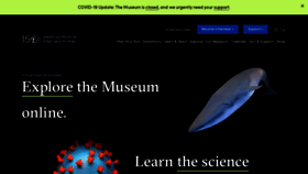 What Amnh.org website looked like in 2020 (3 years ago)