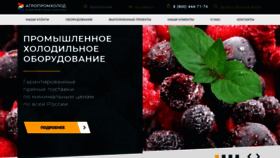 What Agropromholod.ru website looked like in 2020 (3 years ago)