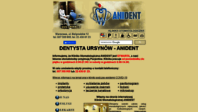 What Anident.pl website looked like in 2020 (3 years ago)