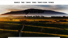 What Agrozacisze.net website looked like in 2020 (3 years ago)