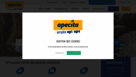 What Apecita.com website looked like in 2020 (3 years ago)