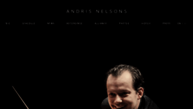 What Andrisnelsons.com website looked like in 2020 (3 years ago)