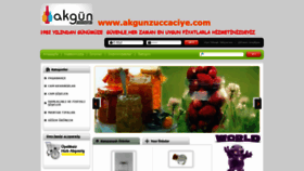 What Akgunzuccaciye.com website looked like in 2020 (3 years ago)
