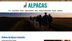 What Alpacaszeelandia.nl website looked like in 2020 (3 years ago)