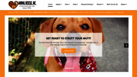 What Animalrescueinc.org website looked like in 2020 (3 years ago)