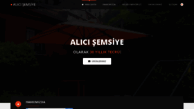 What Alicisemsiye.com website looked like in 2020 (3 years ago)