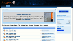 What Auspet.com website looked like in 2020 (3 years ago)