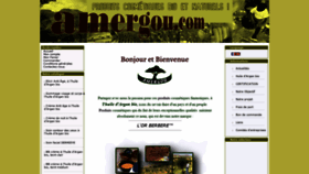 What Amergou.com website looked like in 2020 (3 years ago)