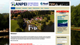 What Anpei.org website looked like in 2020 (3 years ago)