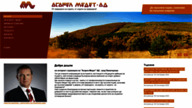 What Asarel.com website looked like in 2020 (3 years ago)