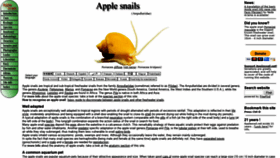 What Applesnail.net website looked like in 2020 (3 years ago)