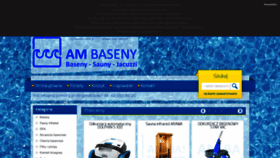 What Ambaseny.pl website looked like in 2020 (3 years ago)