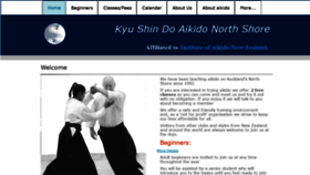 What Aikido.net.nz website looked like in 2020 (3 years ago)