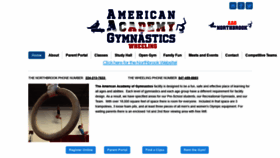 What Aagymnastics.com website looked like in 2020 (3 years ago)