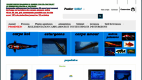 What Aerotranskoi.fr website looked like in 2020 (3 years ago)