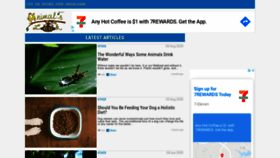 What Animalslook.com website looked like in 2020 (3 years ago)