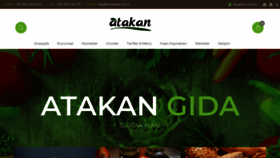 What Atakangida.com.tr website looked like in 2020 (3 years ago)
