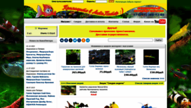 What Aquapiter.com website looked like in 2020 (3 years ago)